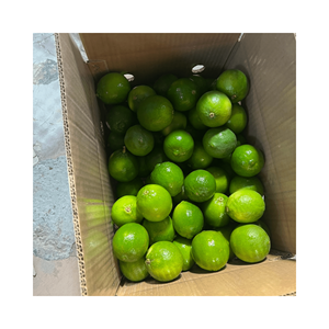 2025 VENDEDOR SUPERIOR EN VIETNAM LIME FRESH LIMON FRESH SEEDLESS NEW CROP 100% CON ALTA CALIDAD Y PRECIO COMPETITIVO DESDE 99GD - Product Image 4