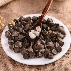 เมล็ดพันธุ์มะรุมขายได้เมล็ดมะรุมจำนวนมากราคาดีที่สุด - Product Image 5