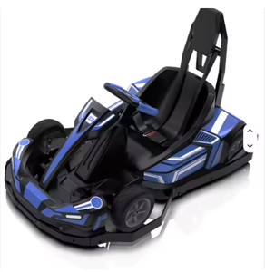 Karts électriques professionnels pour enfants et adultes - Product Image 1
