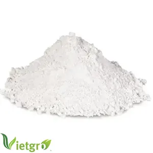 越南-高品质和批发价熟石灰-亚洲市场氢氧化钙