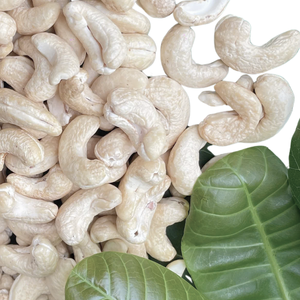 Fabricación de anacardos tostados anacardos Vietnam anacardos Ww180 Ww240 Ww320 al por mayor exportados a Asia, UE, ORIENTE MEDIO - Product Image 1