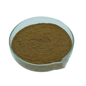 Excellent quality Premix Animal Bulk Soybean Meal Poultry Feed Premix Non Gmo edible Soy Meal for Cattle, Chicken, Dog, Fish, Ho