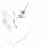 Dalles de porcelaine vitrifiée modernes Magnificent Shine 600x1200mm, résistantes aux acides, antibactériennes, antidérapantes, isolantes thermiquement, pour villa