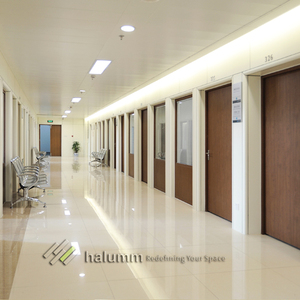 Paneles de Pared Innovadores de Acero Inoxidable Clásico para Hospitales, Escuelas y Hoteles, Diseño Moderno, 60/90 mm de Espesor, Fácil Instalación - Product Image 4
