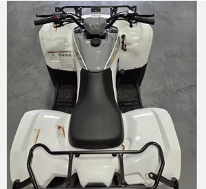 Autopark ซื้อต้นฉบับ2024 yamahas Grizzly ทำด้วยมือ90cc ผลิตในประเทศจีน - Product Image 2