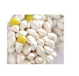 Nueces de Ginkgo Secas Crudas Orgánicas a Granel, 100% Puras, Calidad Premium - Product Image 5