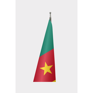 Customizable Official Cameroon Indoor <b>Flag</b> Digital Printing Aluminum Fiberglass <b>Pole</b> Satin Nylon Plastic Vinyl Silk Materials - Product Image 3