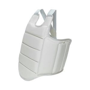 Protector de Pecho para Karate, Protector de Pecho Doble Grueso, Unisex, Equipo de Protección, Chaleco de Entrenamiento para Competencia, Protectores de Taekwondo - Product Image 1