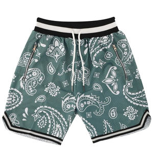 Pantalones cortos de malla High Street Hip-Hop Último ajuste relajado Venta al por mayor Malla de poliéster Hombres Pantalones cortos de baloncesto personalizados para hombres Servicio OEM - Product Image 1