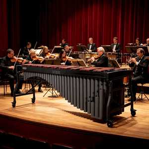 Marimba Profesional de 5 Octavas para Conciertos, Barras de Tono de Padauk, Instrumento de Percusión para <span class=keywords><strong>Orquesta</strong></span> - Product Image 6