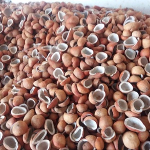 Produit alimentaire naturel à vendre - Product Image 5