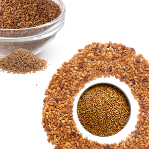 Alfalfa | Seleccionada por alta nutrición y alimentación fácil - Product Image 1