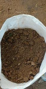 Engrais organique naturel en poudre à base de fumier de vache Indigo Organics, origine Tamil Nadu, durée de conservation de 24 mois - Product Image 4