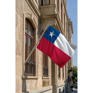 Ensemble de mât de drapeau télescopique en aluminium imprimé numériquement pour les agences d'assurance et de voyages, drapeaux 3x5 pieds sur bannières en polyester, fixation murale - Product Image 2