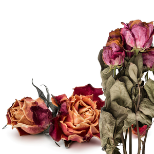 Flor de Rosa seca pura | Pétalos rojos ideales para belleza y usos herbales - Product Image 2