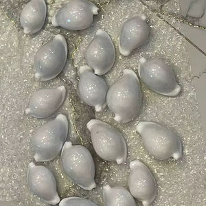 เปลือกหอยวัวธรรมชาติแบบพรีเมี่ยมอุปกรณ์งานฝีมือเครื่องประดับส่งออกคุณภาพ - Product Image 1