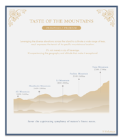 Thé Oolong de haute montagne Alishan de Taïwan - Thé en vrac en sachet 600g - Emballage en gros - Service d'étiquetage privé