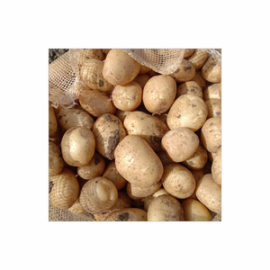 มันฝรั่งทอดแช่แข็งแบบออร์แกนิก - Product Image 1