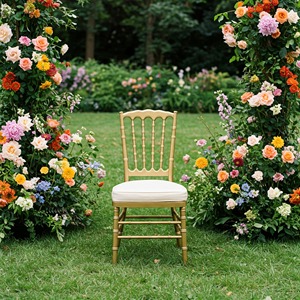 เก้าอี้ chiavari สีทองหรูหราพร้อมเบาะสีขาวทันสมัยเก้าอี้ปาร์ตี้งานแต่งงานโลหะแบบพกพาสำหรับห้องนอนสวนวิลล่าลาน - Product Image 1