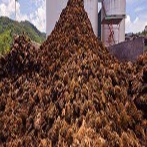 การส่งออกจำนวนมากของเปลือกเมล็ดปาล์ม (pks) สำหรับเชื้อเพลิงชีวภาพและวัสดุอุตสาหกรรม - Product Image 1