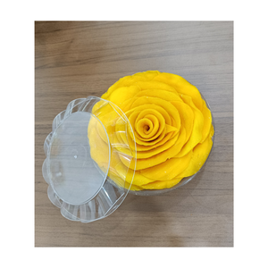 Soft Dried Mango Chewy Snack Made from Selected Fresh Mango | Viet Nam origin | OEM label - Product Image 6