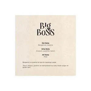 Carpex Big Boss Koku Kartusu Micro Sachet Parfumé 50 ml Cartouche - Product Image 3