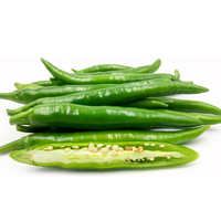 BULK WHOLESALE PRICE GREEN CHILI GREEN CHILLI PEPPER RED CHILLI for CONDIMENTS FROM EXPAD VIETNAM