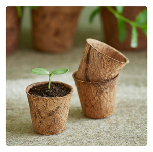 Pots de coco écologiques de qualité supérieure-Jardinières biodégradables et durables - Product Image 1