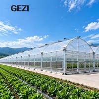 Serre en film multi-travées à conception connectée par gouttières pour l'agriculture commerciale, la culture de légumes et les pépinières à grande échelle