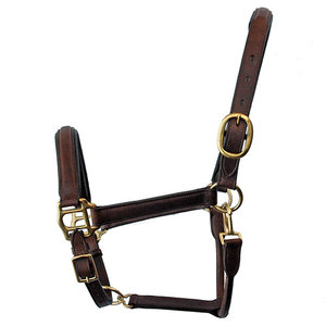 Le fabricant de licol en nylon rembourré doux conçoit votre propre licol en nylon pour cheval pour les produits de marque privée pour chevaux - Product Image 1
