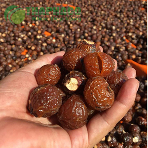 Bayas de Jabonera Secas Naturales para Lavandería Ecológica, Uso Doméstico, Proveedor Mayorista de Vietnam - Product Image 4