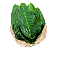 Dong de feuille biodégradable écologique pour la décoration d'emballage alimentaire sacs en plastique alternatifs durables nouvelle agriculture de culture