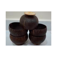 Tazón de Ensalada Desechable Ecológico Tallado en Cáscara de Coco, Artesanía de Alta Calidad, Regalo Empresarial, Envío Inmediato, Hecho en Vietnam, Estilo Bohemio