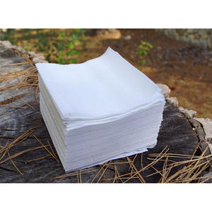 Tovaglioli a 2 veli 11x20cm 3320 pezzi 20 confezioni B2B - Product Image 1