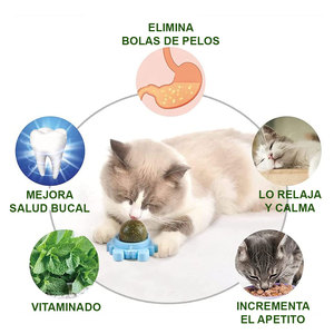 Giocattoli Naturali da Masticare per Denti di Conigli Domestici, Giocattolo Rotante in Plastica Stile Sportivo - Product Image 1