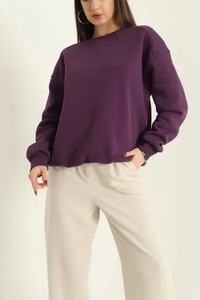 Sweat-shirts décontractés pour femmes de couleur unie, fabricants d'usines de vêtements d'hiver OEM, sweat-shirt chaud pour femmes de couleur unie - Product Image 4