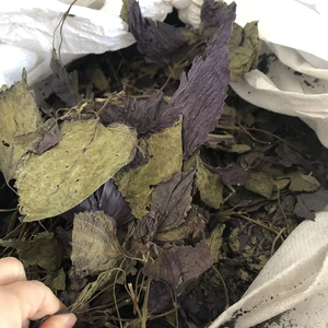 ธรรมชาติกลมกลืนกับใบไม้ทุกใบใบใบใบใบงาแห้งจากสวนสมุนไพรเวียดนาม - Product Image 1