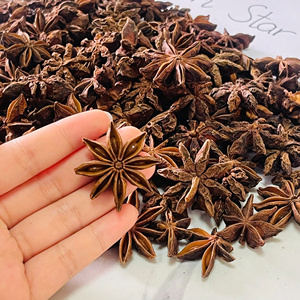 Venta caliente Vietnam Star Anise/Steranys/Zvjezdasti Anis de alta calidad para el mercado de Oriente Medio Muestra gratuita (WA: + 84362512699) - Product Image 3