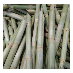 La mejor bebida de caña de azúcar congelada con varios cortes enteros/en rodajas/trozos/palos cortados con sabor dulce natural - Product Image 6