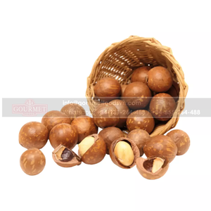 Macademia du Vietnam bon marché, de renommée, de qualité et bon pour la santé - Product Image 5