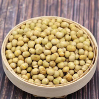 Soja Edamame torréfié croustillant en vrac Mélange parfait de goût et de texture Service OEM/ODM Emballage personnalisé