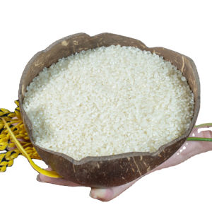 Arroz japonés superior sin gluten sin OGM Cosecha sostenible Arroz blanco vietnamita Premium para el comercio global - Product Image 1