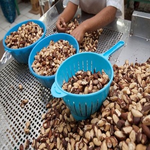 Premium Roasted Brazil <b>Nuts</b> Natural Raw <b>Nuts</b> with Medium Large Extra Large Sizes Edible Wholesale <b>Mix</b> - Product Image 5