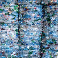 Precio de fábrica: Hojuelas de PET 100% puro reciclado, de alta calidad, de grado alimenticio premium, para botellas de agua y equipos deportivos, fabricadas con material de desecho de lavado en caliente, OEM.