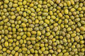 Premium alla rinfusa <span class=keywords><strong>fagioli</strong></span> verdi <span class=keywords><strong>Mung</strong></span> dall'India di alta qualità per cucinare snack di esportazione pronti per il miglior prezzo - Product Image 5