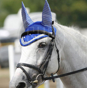 Breathable Mesh High Quality Horse Ear <b>Bonnet</b> for Outdoor Daily Wear Modern Premium Quick Dry Comfortable Low MOQ - Product Image 2