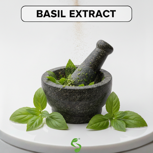 Extracto Seco de Tulsi de Grado Estándar para Cadenas de Suministro de Ingredientes Botánicos, Cuidado Personal y Ayurveda - Product Image 3