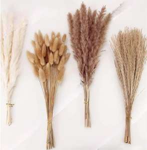 Konserviertes Gras Dornenkrone Trocken blumen arrangement Hochzeit DIY Material Natürlicher getrockneter Pflanzens trauß - Product Image 2