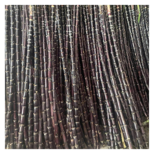 Canne à sucre congelée avec saveur douce et fraîche par 99GD Viet Nam Canne à sucre congelée prête à être expédiée, parfaite pour les besoins en jus et en exportation - Product Image 1