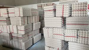 Bandejas de Cartón para Huevos Optimizan la Recolección y Conservación de Huevos, Aumentando la Productividad Ganadera - Product Image 2